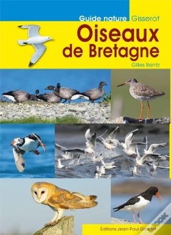 Capa do artigo Oiseaux De Bretagne