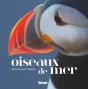 Oiseaux De Mer - Preview