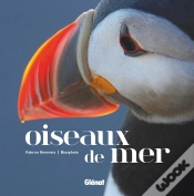 Capa do artigo Oiseaux De Mer