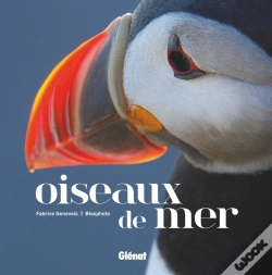 Capa do artigo Oiseaux De Mer