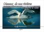 Oiseaux De Nos Rivieres Et Plans D'Eau - Preview