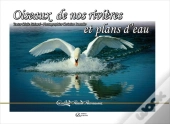 Oiseaux De Nos Rivieres Et Plans D'Eau