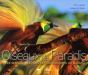 Oiseaux De Paradis - Preview
