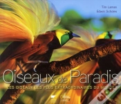 Capa do artigo Oiseaux De Paradis