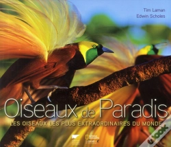 Capa do artigo Oiseaux De Paradis