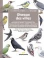 Oiseaux Des Villes - Preview