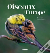 Capa do artigo Oiseaux D