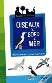 Oiseaux Du Bord De Mer