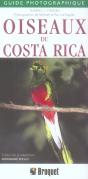 Oiseaux Du Costa Rica - Preview