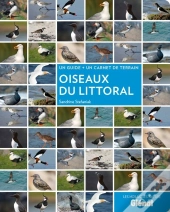 Oiseaux Du Littoral