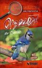 Oiseaux Du Québec : Guide D'Identification - Preview
