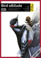 Capa do artigo Oiseaux Hors Serie Salamandre N 2
