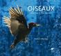 Oiseaux ; Instants Magiques - Preview