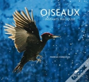 Capa do artigo Oiseaux ; Instants Magiques
