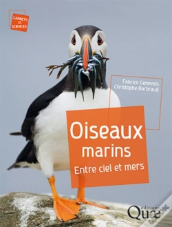 Capa do artigo Oiseaux Marins