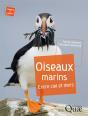 Oiseaux Marins - Preview