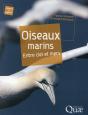 Oiseaux Marins - Preview