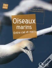 Oiseaux Marins