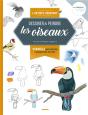 Oiseaux - Preview