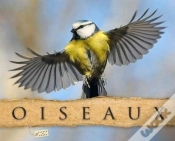 Capa do artigo Oiseaux