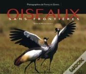 Capa do artigo Oiseaux Sans Frontieres