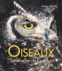 Oiseaux, Sentinelles De La Nature - Preview