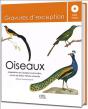 Oiseaux - Preview