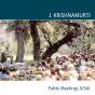 Ojai 1973 - Preview