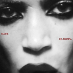 Capa do artigo Ok. Respira - Vinil