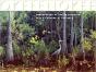 Okefenokee - Preview
