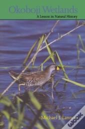 Okoboji Wetlands
