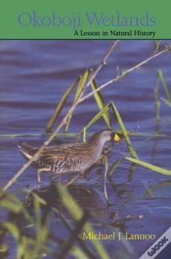 Capa do artigo Okoboji Wetlands