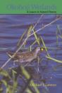 Okoboji Wetlands - Preview