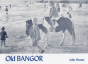 Old Bangor - Preview