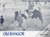 Capa do artigo Old Bangor