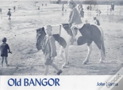Capa do artigo Old Bangor