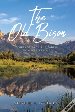 Capa do artigo Old Bison