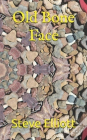 Capa do artigo Old Bone Face