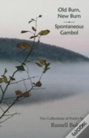 Capa do artigo Old Burn, New Burn And Spontaneous Gambol