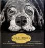 Old Dogs - Preview