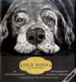 Capa do artigo Old Dogs