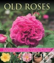 Capa do artigo Old Fashioned Roses