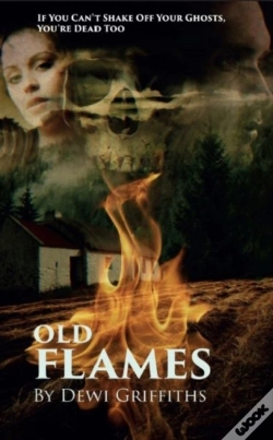 Capa do artigo Old Flames