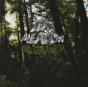 Old Growth - Vinil - Preview