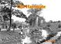 Old Harrogate - Preview