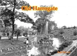 Capa do artigo Old Harrogate