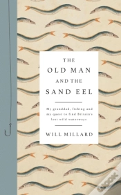 Capa do artigo Old Man And The Sand Eel