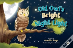 Capa do artigo Old Owl'S Bright Night Light