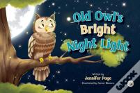Old Owl'S Bright Night Light