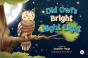 Old Owl'S Bright Night Light - Preview